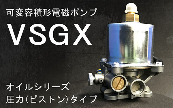 VSGX